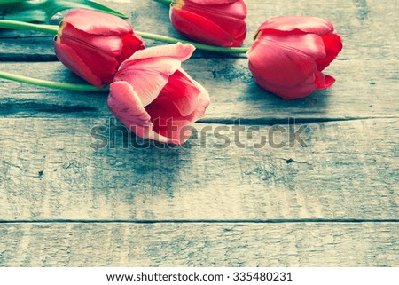 Red tulips on a wooden background/toned photo