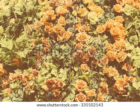 flower  background - vintage effect picture