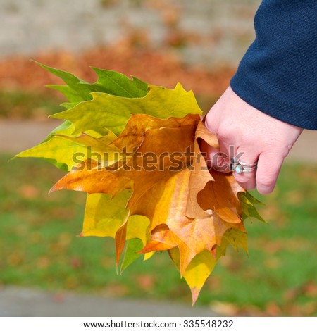 Woman holding a bunch of maple tree leaves in left hand