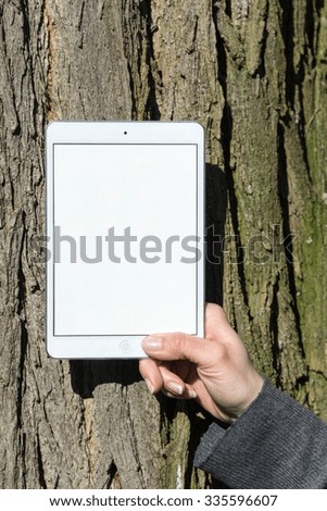 Woman's hand holding white tablet with white blank display in front of tree trunk