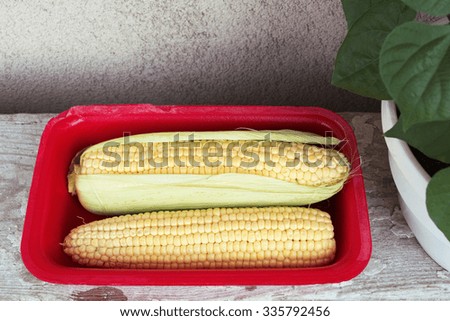 
Fresh sweet corn on old wooden table. Selective focus
