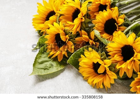 Sunflowers on a gray stone background, copy space