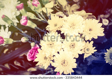 Vintage Flowers, Vintage flower background, flowers with filter effect retro vintage soft blurry style for background.