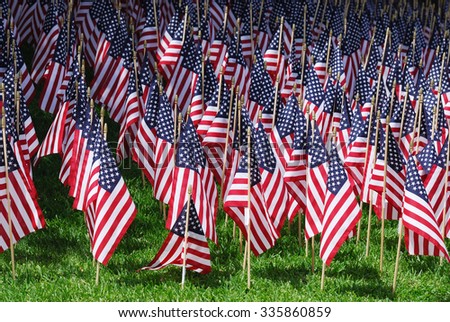 USA flags