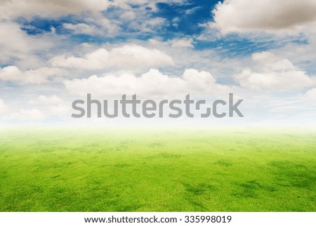 Green meadow under bright Sky ,nature background ,sunrise over a green field