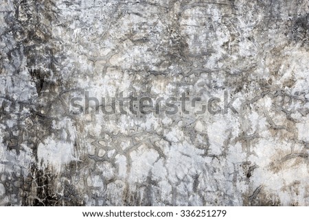 Close-up photos of raw concrete texture details and seamless wall, grunge style backgrounds, and copy space.