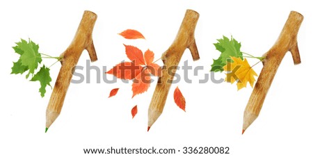 Wooden pencil with autumn leaves isolated on white background with sample text. Set pencil with different colors leaves