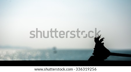 Flower silhouette on table with beautiful sky and sea in background, lonely summer concept - can be used for display or montage your products