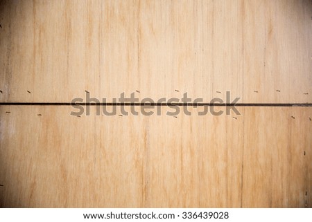 wood texture with nature form