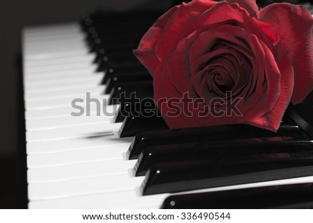 Composition of red rose on piano keys 