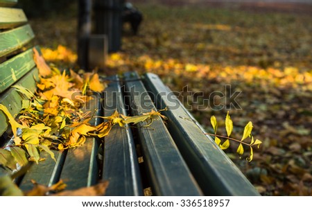 Old wooden bench with no people in the bright autumnal park