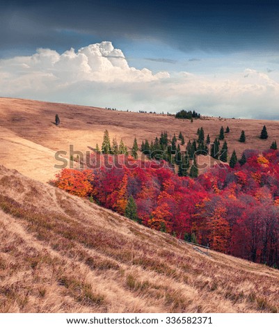 Cloudy autumn morning in the mountains. Mountain valley Brailka, Carpathian, Ukraine, Europe.