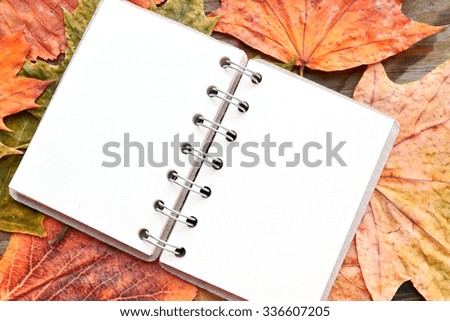 An empty notebook covered with autumn leaves