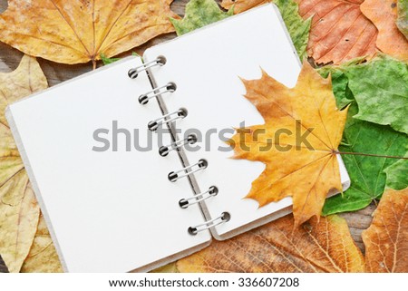 An empty notebook covered with autumn leaves