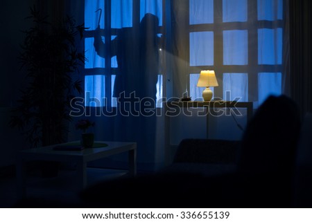 
shadow  of burglar on the balcony door Royalty-Free Stock Photo #336655139