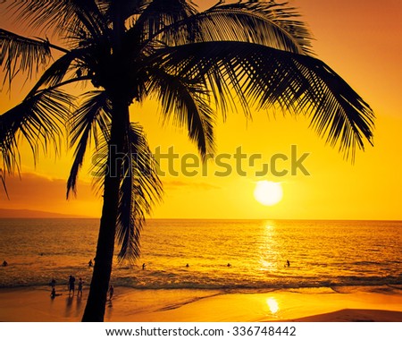 Golden tropical sunset