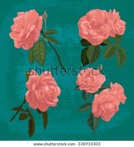 vector illustration of roses set