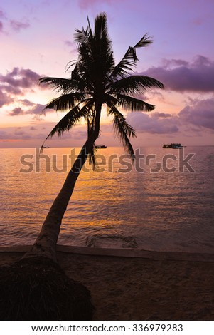romantic sunset and coconut tree on the beach/yellow and purple sky