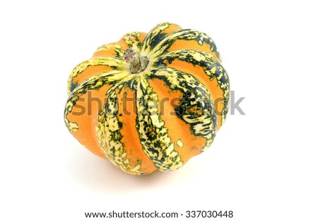 decorative mini pumpkin in green orange.
