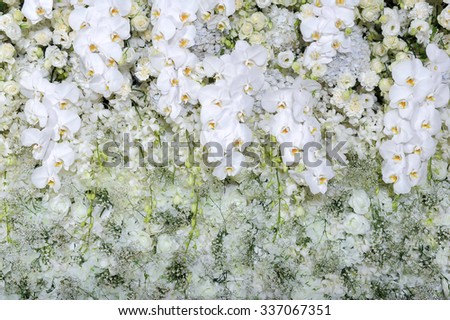 White roses and white orchids on white roses wall