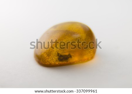 The a piece of Amber on a white background. Inside on the bootom left is insect. Age of this fossil around 40 million years.