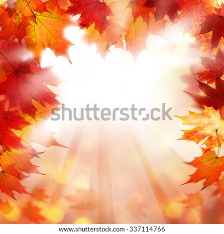 Fall Background with Autumn Maple Leaves