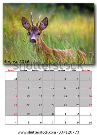 wildlife calendar august 2016 print page layout