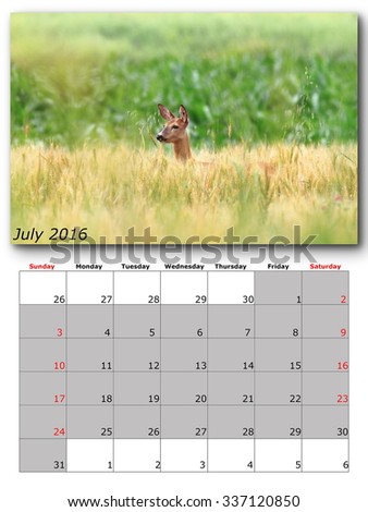 wildlife calendar july 2016 print page layout
