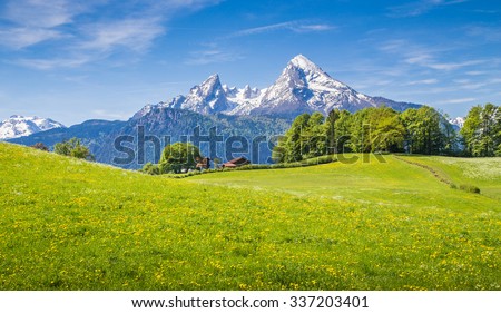 Idyllic landscape in the Alps with fresh green meadows and blooming flowers and snowcapped mountain tops in the background, Nationalpark Berchtesgadener Land, Bavaria, Germany Royalty-Free Stock Photo #337203401