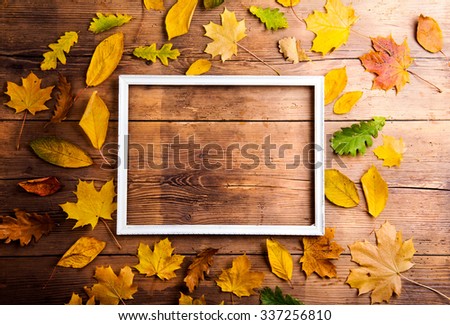 Autumn leaf composition with picture frame. Studio shot on wooden background.