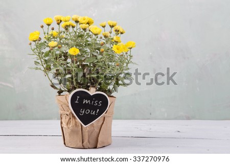 I miss you - beautiful  flowers in pot with blackboard