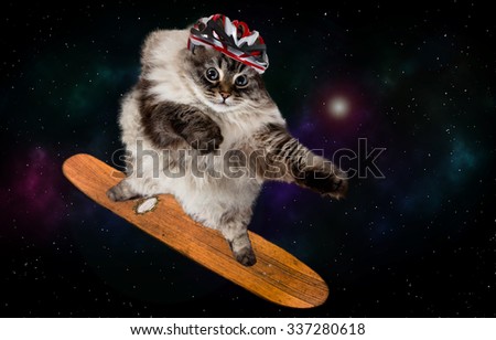funny cat skating in cosmos