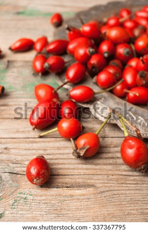 Bunch of rose hip spread over vintage silver plate on a shabby wooden table