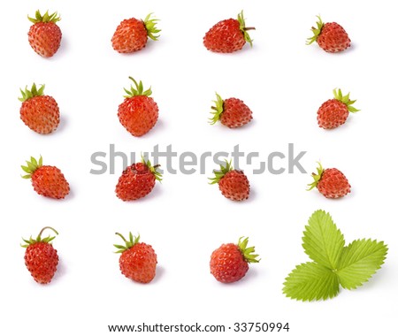 fresh wild strawberry with green leaves isolated on white background., clipping path included. Royalty-Free Stock Photo #33750994