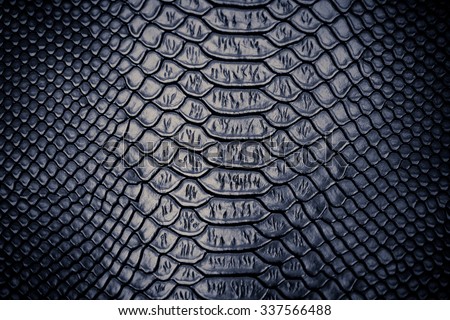 close up of snake skin texture use for background Royalty-Free Stock Photo #337566488