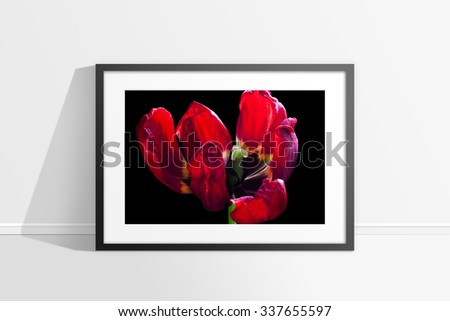 Frame with picture of  ruby red tulip flower.