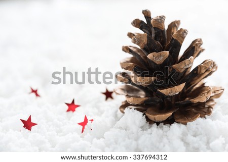 Christmas stars and pine on snow background, selective focus
