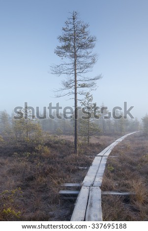 Duckboards in the forest on a cold morning in Finland. It's a good way to hike in the swamp.