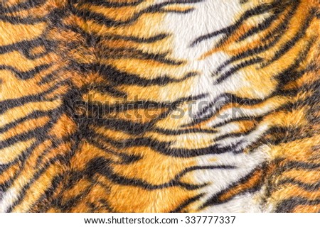 Tiger texture fur background