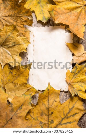 Vintage blank paper cards for notes on fallen leaves. Top view image