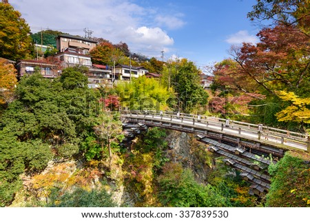 Otsuki, Japan at Saruhashi Monkey Bridge.