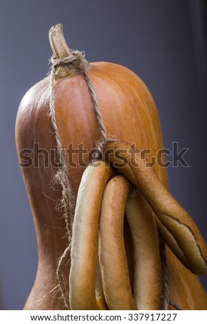 Photo still life closeup partial one big gourd standing with bunches of hard oval cracknels bind with string on stalk over grey background, vertical picture 