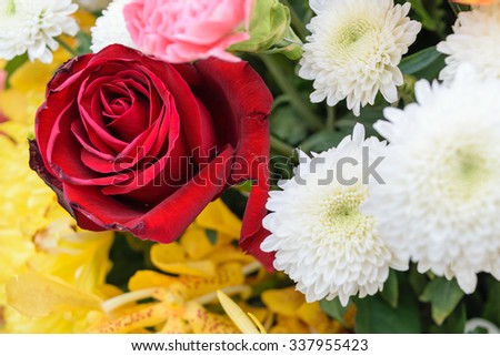 Beautiful red rose flower in a bouquet, Naturally beautiful flowers in the garden