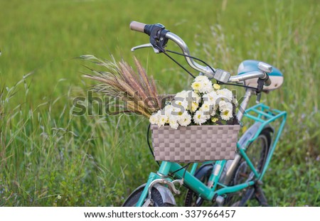 green retro bicycle with basket and white flowers 