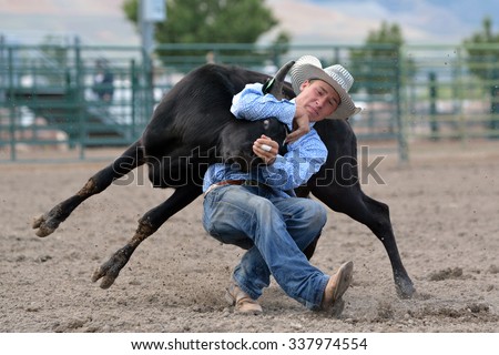Cowboy wrestling a steer during a rodeo.