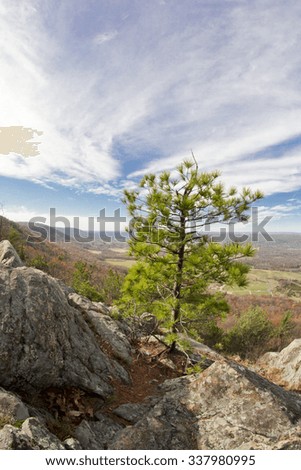 View from top of Appalachian Mountains with green pines and autumn maple and oak