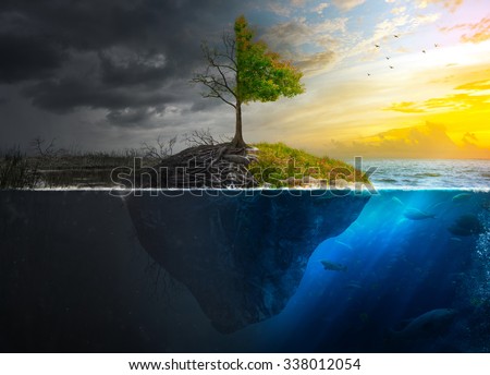 Life and death on a floating island at sunset. Royalty-Free Stock Photo #338012054