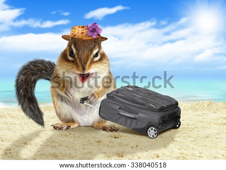 Funny vacationist, animal squirrel with suitcase at beach