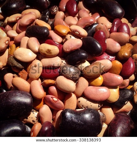 Multicolored kidney beans in the seeds bank of organic farmer Tom_s Villanueva in Tepetlixpa, Mexico State, Mexico GMO seeds are threatening to contaminate native varieties of corn in M\xC9xico