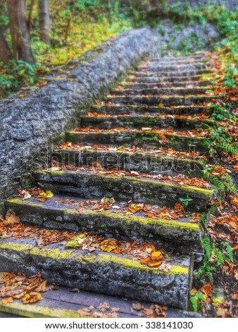 Autumn steps